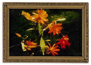(COLOR PHOTOGRAPHY) A suite of one color photograph and 3 manuals by F.E. Ives (1856-1937), inventor of the Polychrome Color Photograph